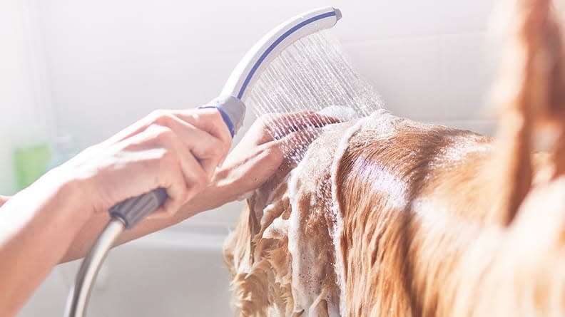 This shower attachment is ideal for dogs who love to get dirty.