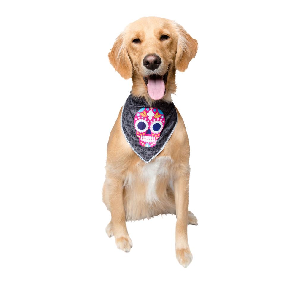 Pet Krewe Glow in the Dark Skull Bandana. (Image via PetSmart)