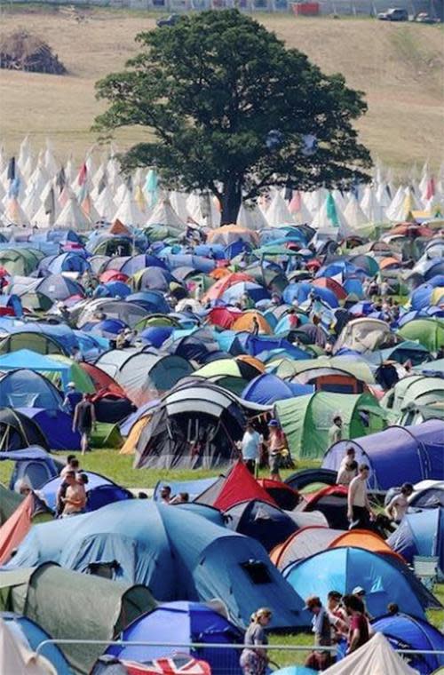 Celebs hit Glastonbury