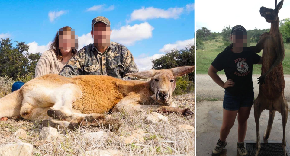 Two images of people at the ranch with dead kangaroos.