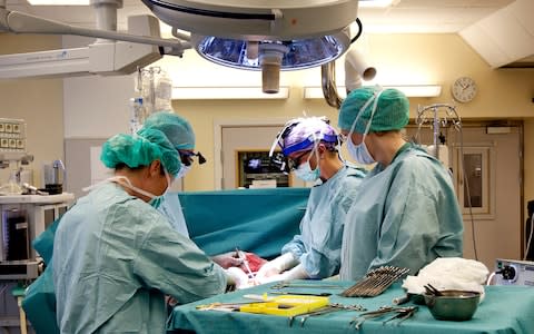 A team at Goteborg University in Sweden prepared to transplant a womb - Credit: AP