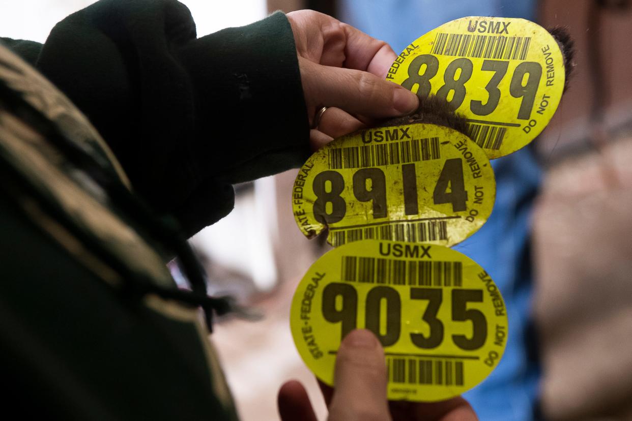 Kelly Smith shows numbered auction stickers from some of the horses her non-profit rescue has saved from a potential slaughter trip to Canada or Mexico.