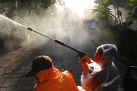 Municipality official spray disinfectantto help curb the spread of the coronavirus in a local neighborhood in Bali, Indonesia, Tuesday, May 5, 2020. (AP Photo/Firdia Lisnawati)
