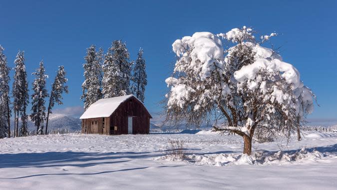 Greg Johnston / Getty Images/iStockphoto