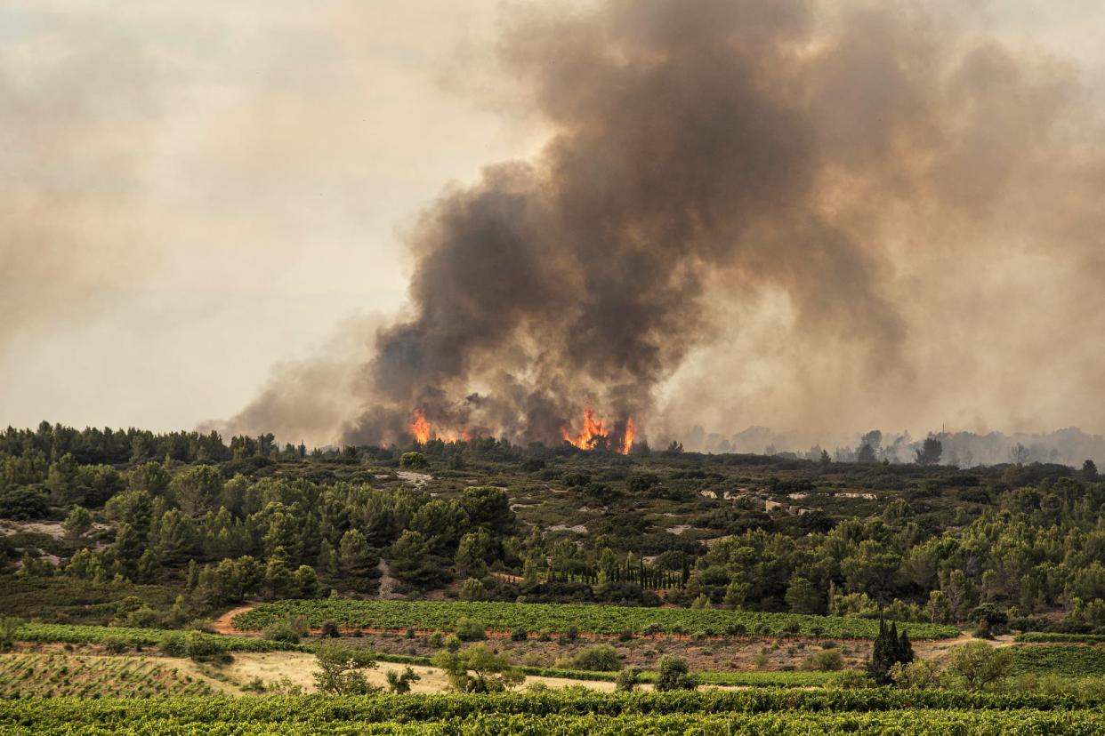 L'incendie qui s'est déclaré samedi 24 juillet dans l'Aude avait parcouru 850 hectares de végétation dans la montagne d'Alaric - Idriss Bigou-Gilles - AFP