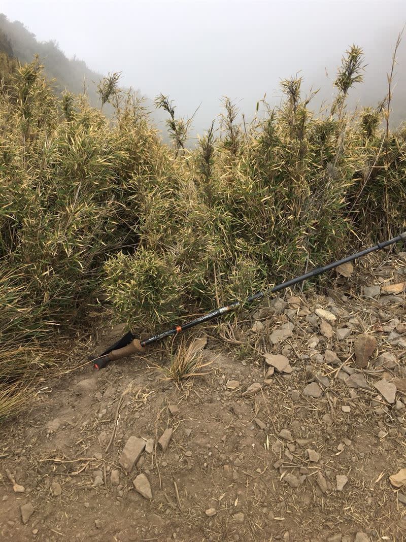 同行山友發現失蹤山友的登山杖，懷疑人已失足墜谷。（圖／南投消防局提供）