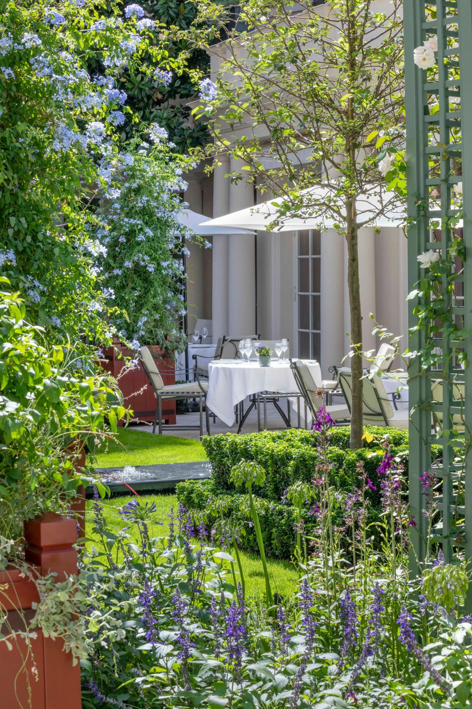 Water, topiary, and plantings (including Plumbago “Dark Blue,” Lobelia “Hadspen Purple,” Salvia farinacea “Victoria Blue,” and climbing Rosa “New Dawn”) create an oasis in the middle of Paris.