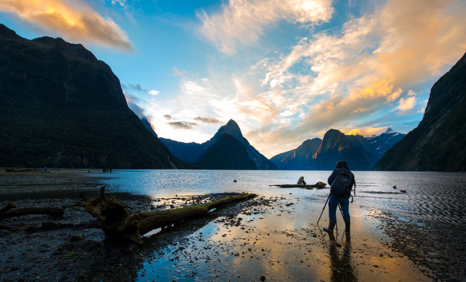 traveller in new zealand