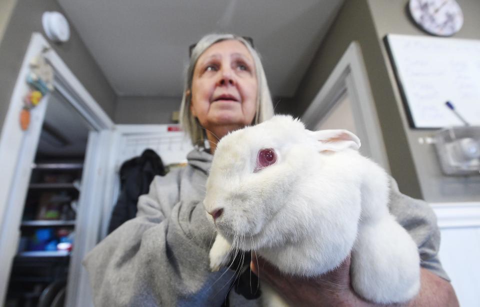 Linda Jones, co-founder of Erie Area Rabbit Society & Rescue, or E.A.R.S., holds Carolina, a rescued rabbit.