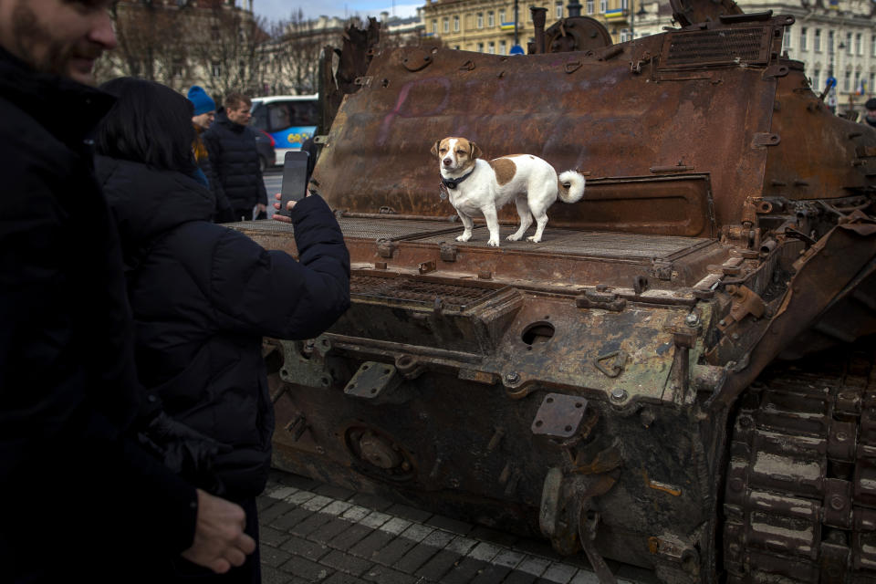 A woman takes a photo of her dog on the destroyed Russian tank T-72B installed as a symbol of war marking the first anniversary of Russia's full-scale invasion of Ukraine decorated with the banner reading "Send money to fight" at Cathedral Square in Vilnius, Lithuania, Wednesday, March 1, 2023. Some ethnic Russians in the Baltic states have placed flowers at displays of burnt-out Russian tanks seized by Ukrainians, making a gesture of homage and support for Russia's war against Ukraine. (AP Photo/Mindaugas Kulbis)