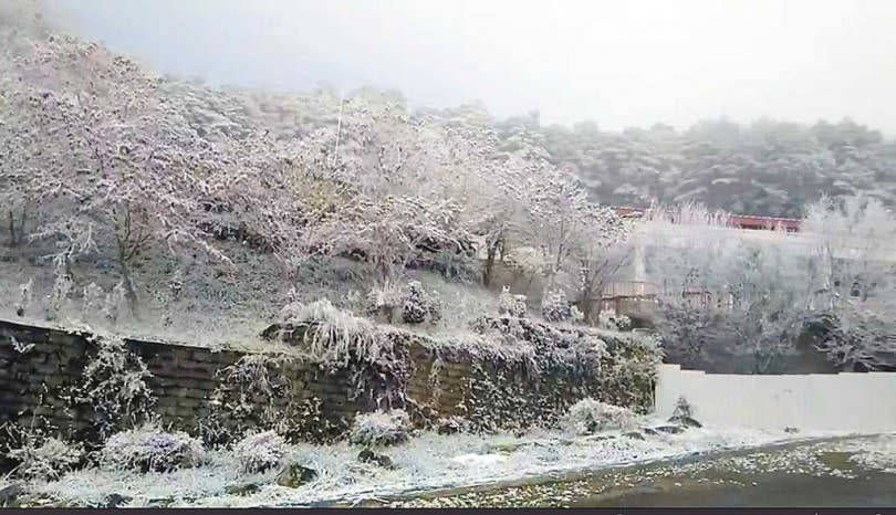 台東南橫公路向陽地區昨日凌晨攝氏零度降下冰霰，沿途風景宛若北國。（圖／台東林管處提供）