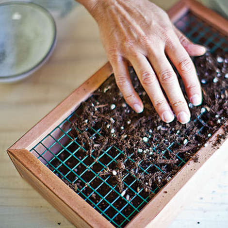 The mesh holds the soil in place