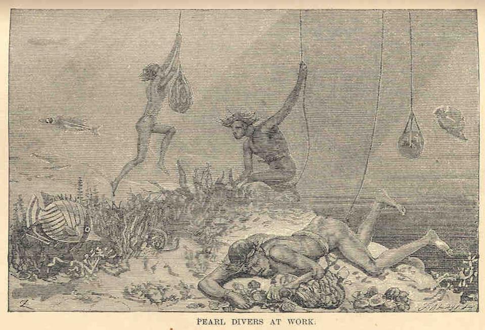 J. Wesley Van der Voort, Pearl Divers at Work, 1883. University of Washington/Wikimedia Commons