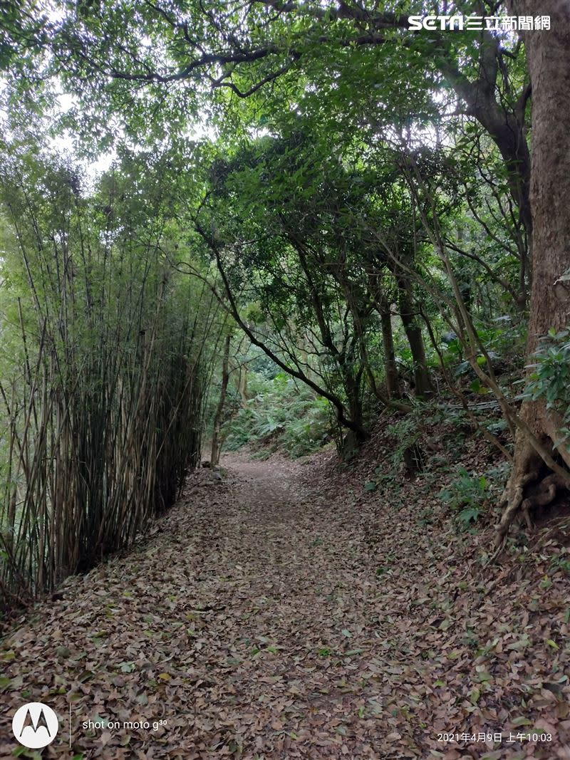 在沒陽光的情況下，帶著g30走了橫嶺古道