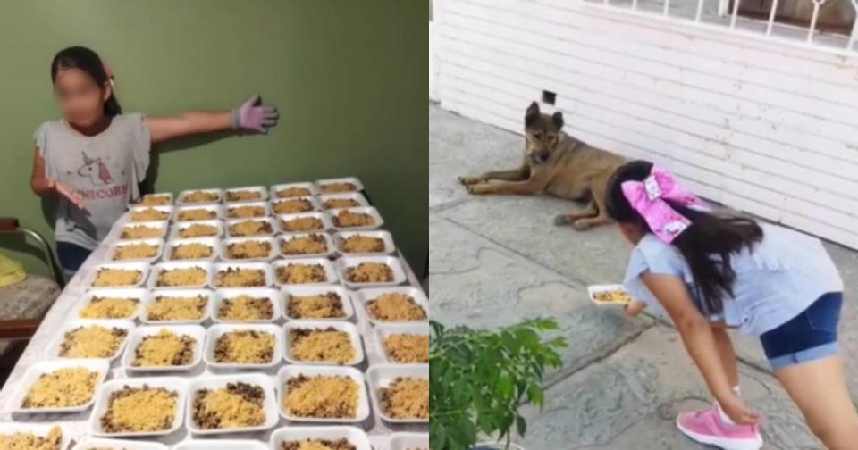 Niña alimenta a perros de la calle con decenas de platos de comida. Foto: Captura de video TikTok vía @brenathsaltorre/