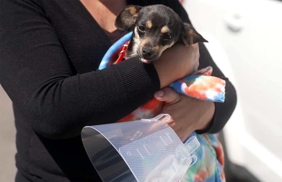 U.S. Lexical Diaz holds onto Cookie who was recently spayed at Maricopa County Animal Care and Control's mobile clinic on March 31, 2023.
