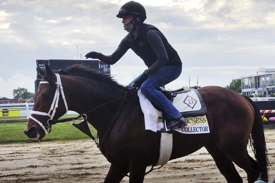 Preakness contender Art Collector, ridden by exercise rider Annie Finney, walks on the track at Pimlico Race Course