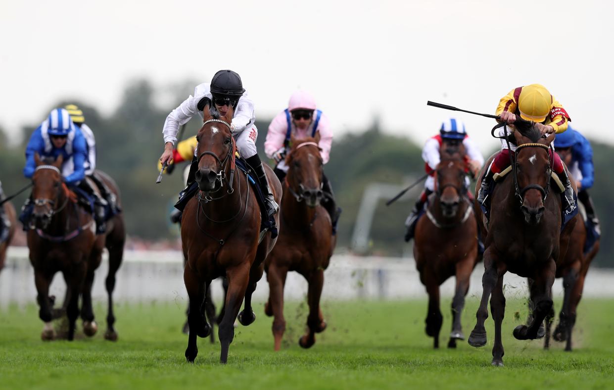 Marsha ridden by Luke Morris (second left) narrowly won the Coolmore Nunthorpe Stakes last season, with Battaash (left) only finishing fourth