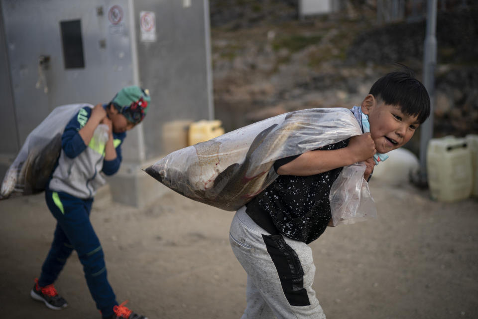 In this Aug. 15, 2019, photo, boys carry plastic bags full of fish in Kulusuk, Greenland. According to local resident Mugu Utuaq, the winter that used to last as long as 10 months when he was a boy can now be as short as five months. Scientists are hard at work in Greenland, trying to understand the alarmingly rapid melting of the ice. (AP Photo/Felipe Dana)