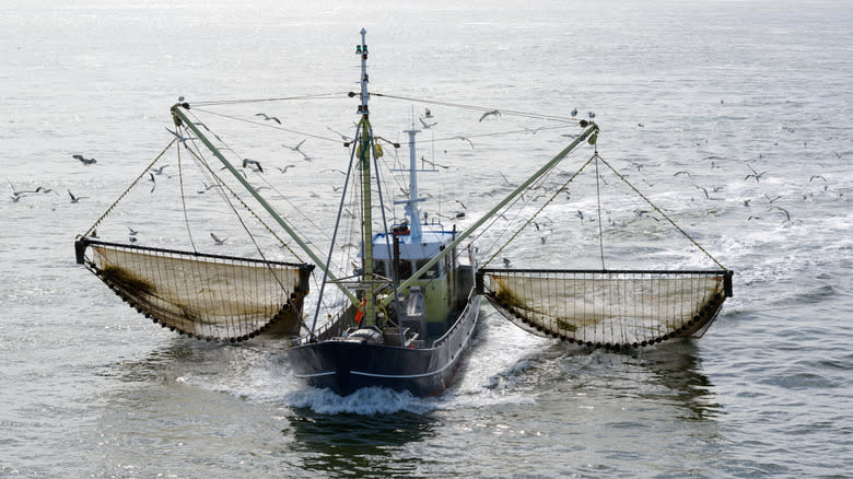 fishing boat with trawling nets