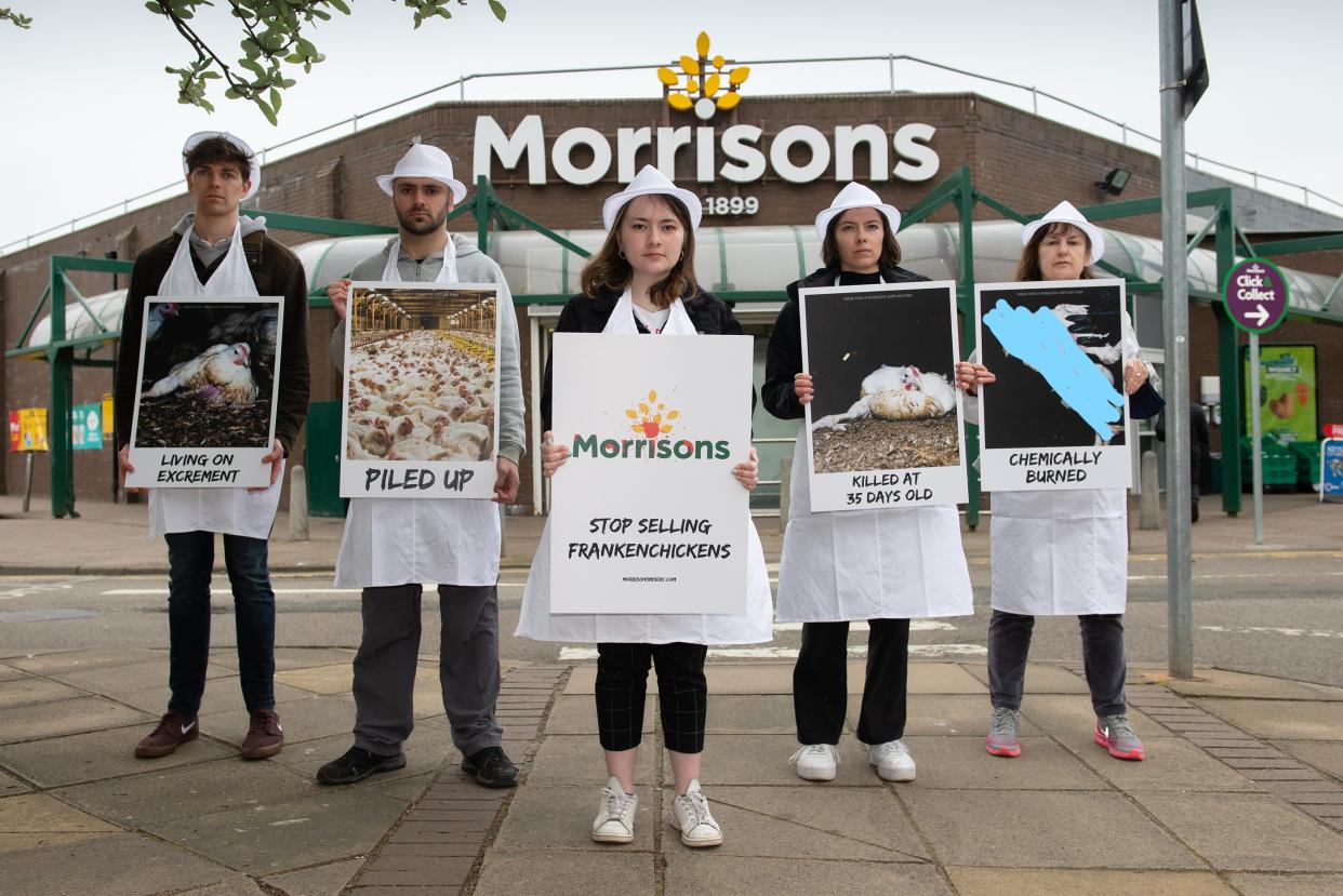 Campaigners from Open Cages behind the #morrisonsmisery campaign protest outside Morrisons in Partick, Glasgow. (Open Cages)