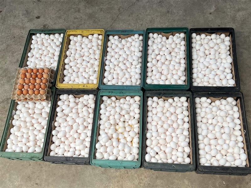熱心信徒表示，努力向蛋商調貨，最後募得3200顆雞蛋，幫信徒們補充營養。(圖／翻攝畫面)