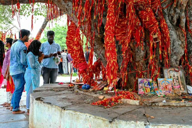Fieles hindúes rezan después de haber colgado cintas sagradas en un árbol en un templo dedicado a la divinidad Balaji, cerca de Hyderabad en India, el 24 de julio de 2024 (Noah SEELAM)