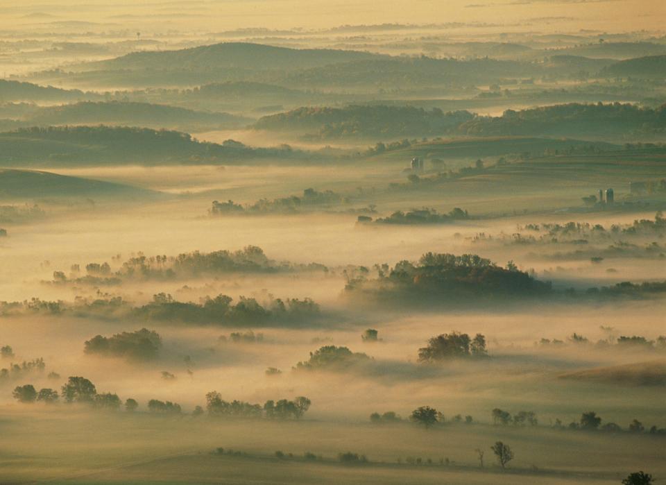 View of fog over the Kettle Moraine State Forest