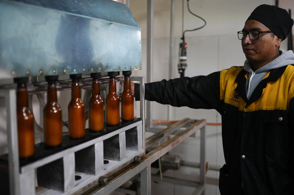 Un trabajador supervisa la línea de producción de la cerveza hecha con hoja de coca en la destilería El Viejo Roble en La Paz, Bolivia, el viernes 3 de mayo de 2024. Las botellas de Coca Beer, que pronto saldrán a conquistar el mercado, se elabora con hoja de coca que macera por tres meses en barriles y da un denso caldo verde del que emana un fuerte olor a esa planta. (AP Foto/Juan Karita)