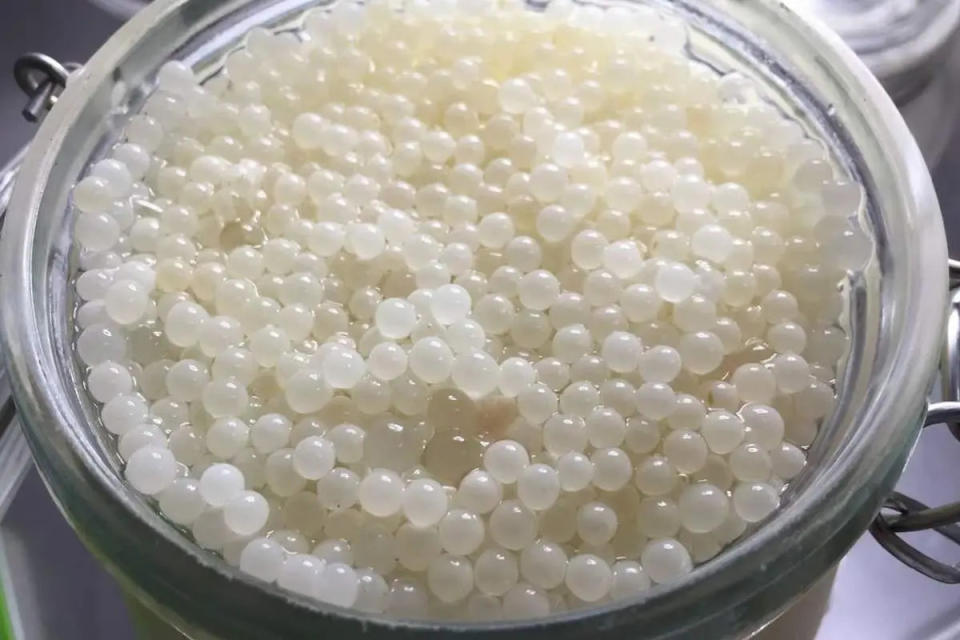 El caviar blanco es uno de los alimentos más caros del mundo. Foto: El PAÍS/Riofrío