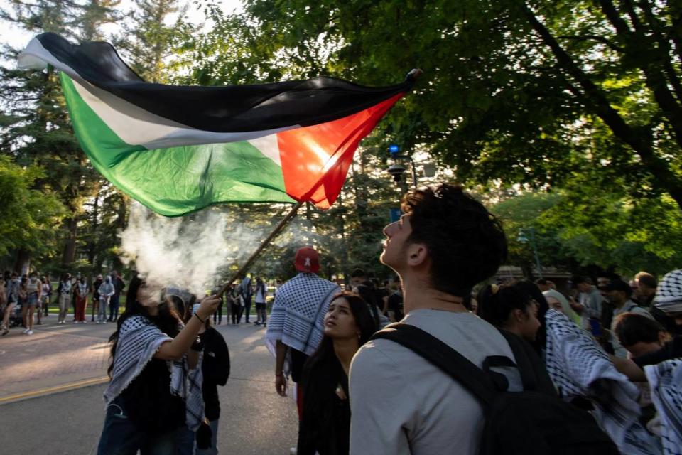 Pro-Palestinian activists wave flags following a festive dance Tuesday, April 30, 2024, at Sacramento State as they protested the war in Gaza. The protesters are asking the university to divest from investments in Israel. José Luis Villegas/jvillegas@sacbee.com