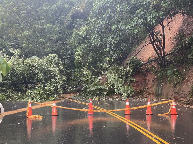 彰化暴雨狂炸，員林員草路約32公里處因強降雨發生土石崩落，樹木橫倒在路中央。(圖／翻攝畫面)