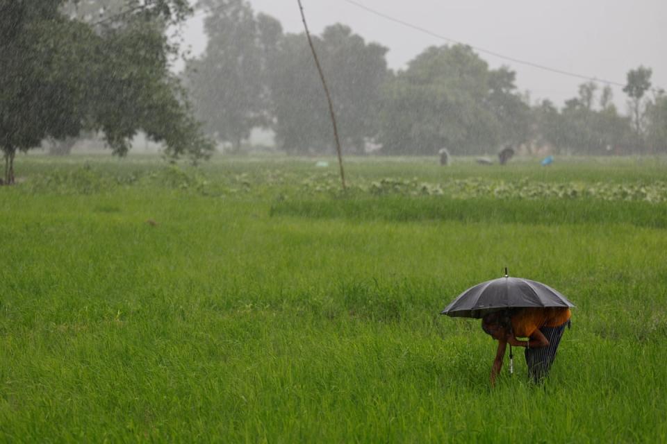 Parwati works in a field outside her house in Punarbas (Reuters)