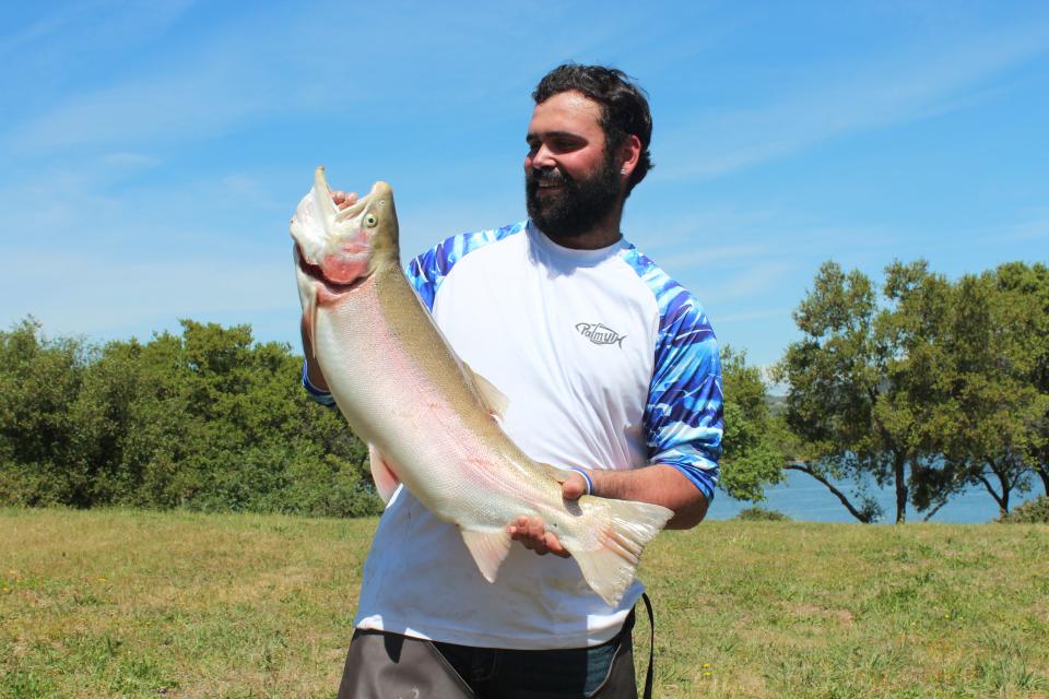 Anthony Bettencourt of Vacaville won first place in the adult division of the NorCal Trout Angler’s Challenge event on April 23 with this huge 14.42 lb. Lake Amador cutbow caught on a jerkbait.