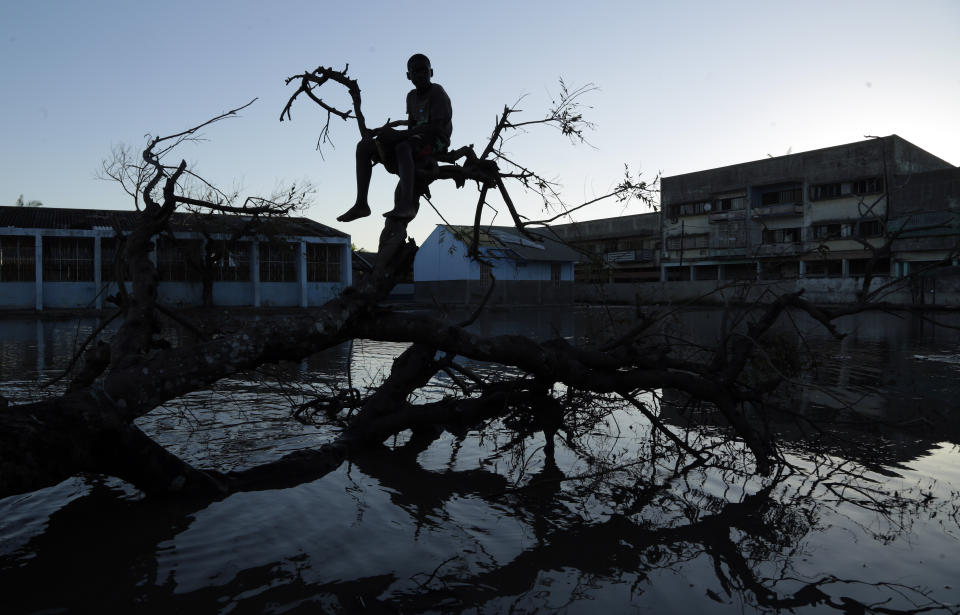 A young boy sits on a fallen tree outside a school in Beira, Mozambique, Monday, March 25, 2019. The United Nations is making an emergency appeal for $282 million for the next three months to help Mozambique start recovering from the devastation of Cyclone Idai. (AP Photo/Themba Hadebe)