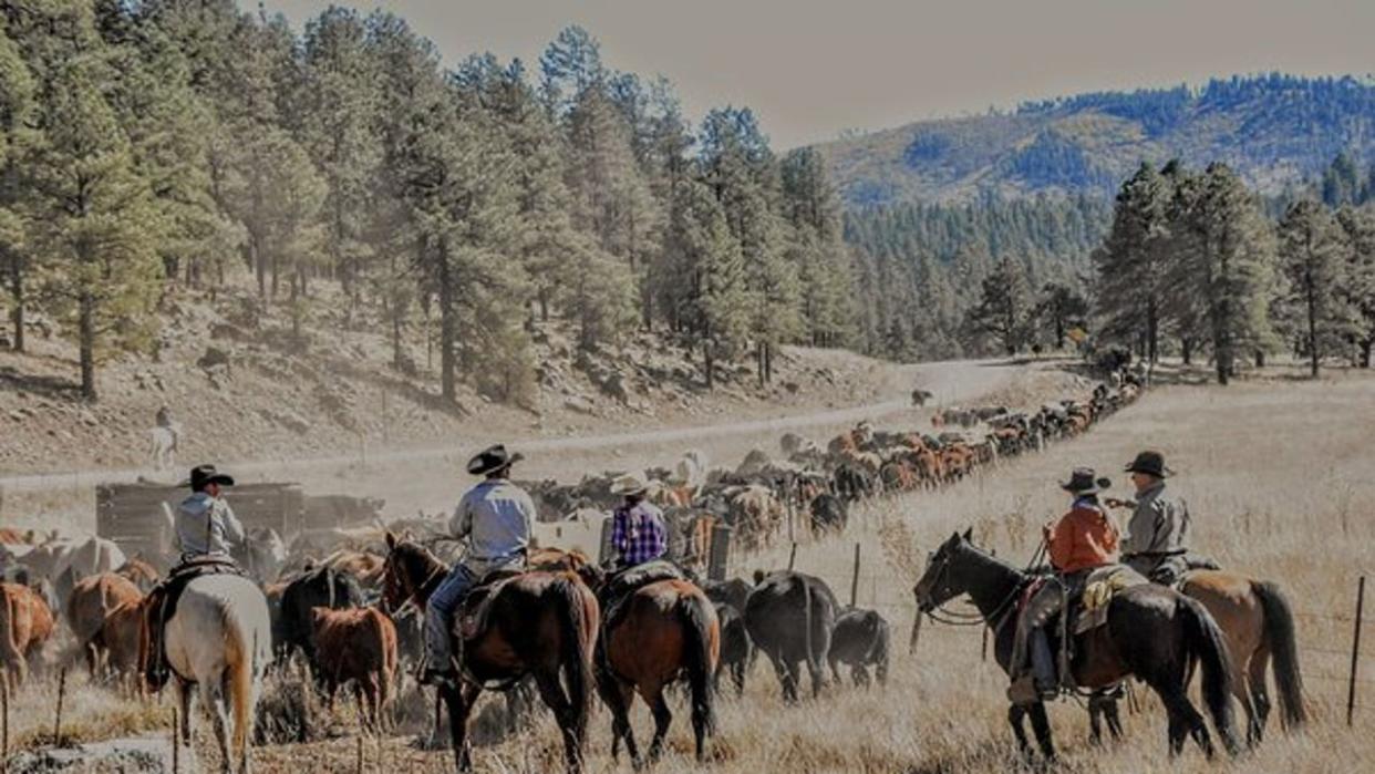 <div>Arizona has changed a lot, but it looks like there's still a lot of Old West to be found here! Thanks Ginger Cheney for sharing!</div>