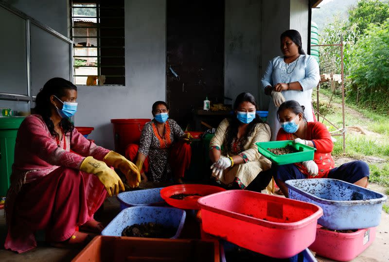 Black Soldier Fly farm run by seven women entrepreneurs from Bhardev village on the outskirts of Lalitpur