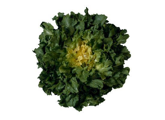 Escarole has broad, curly leaves. Its flavor is slightly bitter. Young leaves are great for salads, but more mature leaves are typically used for wilting into soups or stews