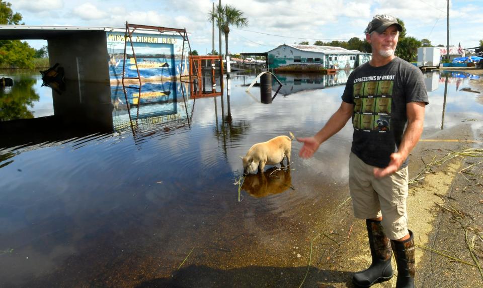 Airboat Rides at Midway, located on the St. Johns River, just west of the Brevard County line on State Road 50. The water levels since Hurricane Ian are higher here than they have ever been recorded, according to one of the owners, Derrick Lockhart, as he is joined by Midway mascot Chris P. Bacon, a young pot bellied pig who lives here.