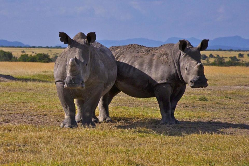  (BBC WALES/WEST PARK PICTURES)