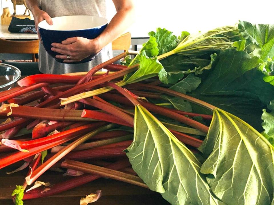 Rhubarb is a cheap and easy ingredient to add to many dishes. It freezes well for use all season, too.  (Julie Van Rosendaal - image credit)