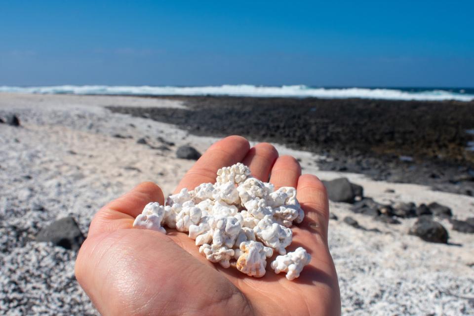 Popcorn Beach in Corralejo, Fuerteventura, Canary Islands, Spain. Beautiful landscape on Coast od Atlantic ocean