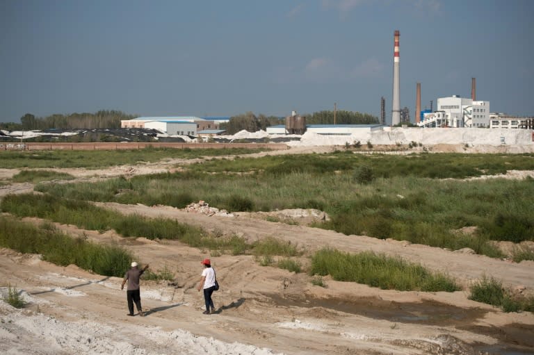 Wang Baoqin and a fellow member of the 'Senior Citizen Environmental Protection Team' walk on farmland that they say was polluted by the Qihua chemical plant in Yushutun