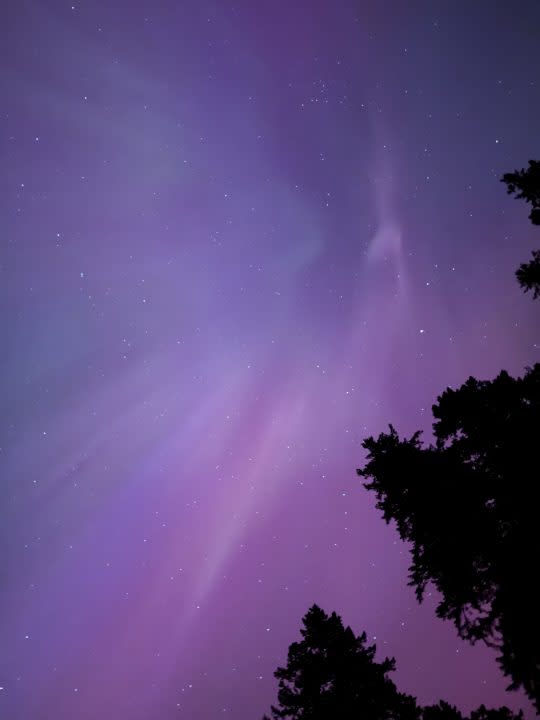 The Northern Lights from Battle Ground State Park in Washington on May 11, 2024. (Courtesy: Alyssa Chervenka)