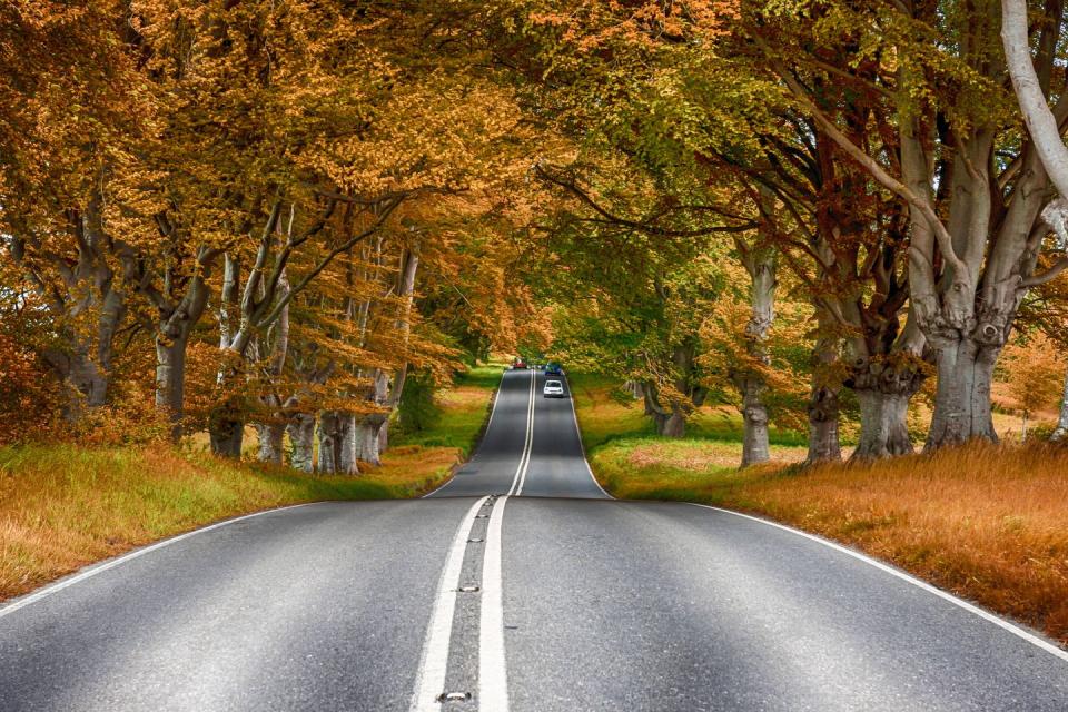 Drive to watch the leaves change