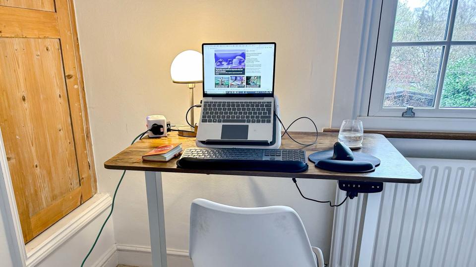 Fezibo Electric Standing Desk in bedroom