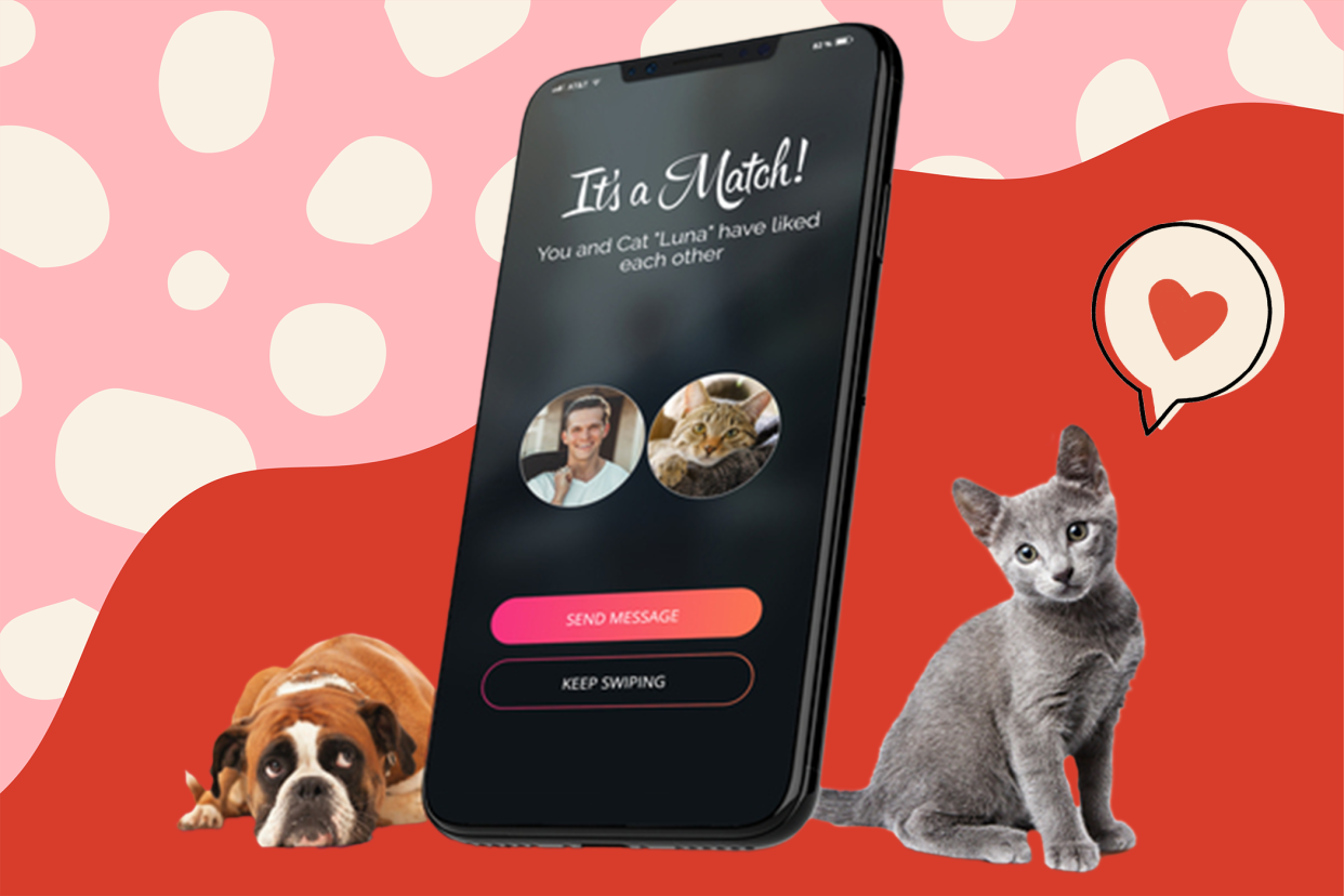 Munich shelter is helping pets find homes through Tinder