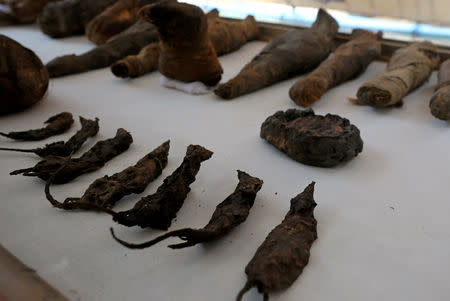 Mummified mice and falcons on display at the newly discovered burial site, the Tomb of Tutu, at al-Dayabat, Sohag, Egypt April 5, 2019. REUTERS/Mohamed Abd El Ghany