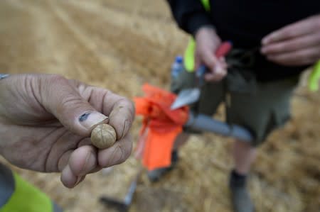 Army veterans and archeologists dig as part of archaeological research campaign called "Waterloo Uncovered" in Waterloo