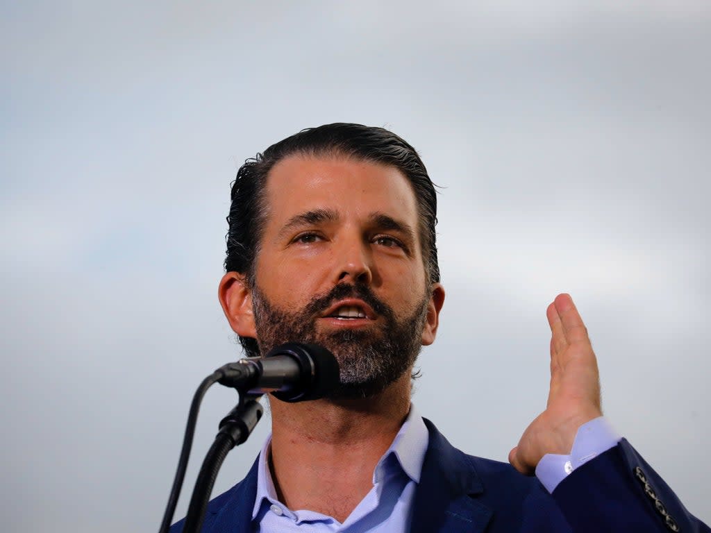 Donald Trump Jr speaks at a political rally  (Getty Images)